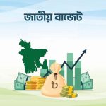 বাজেট ২০২৬-২৭: কোন পণ্যের দাম কমবে, কোনটির বাড়তে পারে? pinews24