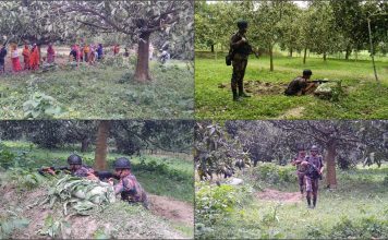 পুশইন ঠেকাতে সীমান্তে কড়া নজরদারি, বিজিবির সঙ্গে মোতায়েন আনসার-ভিডিপি pinews24