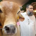 ১৩৩ কোটি থেকে দেড় কোটিতে সাদিক অ্যাগ্রো মামলা