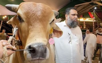 ১৩৩ কোটি থেকে দেড় কোটিতে সাদিক অ্যাগ্রো মামলা